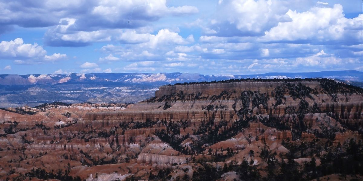 Clearfield Alcohol & Drug Treatment / Rehab Resources