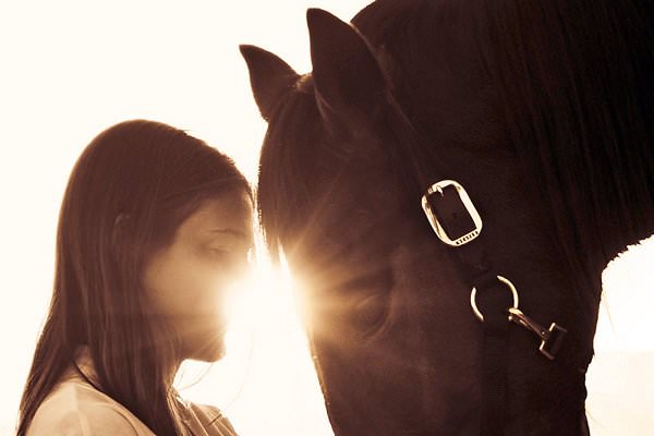 Here at Amethyst Recover, we recognize the success of equine therapy and the intricate relationship between horses and humans. (Phyllis Lane/Oprah.com)