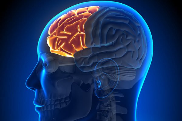 Substance abuse affects the frontal cortex, which is important to cognitive processes involving morality and decision-making. (decade3d/Shutterstock)