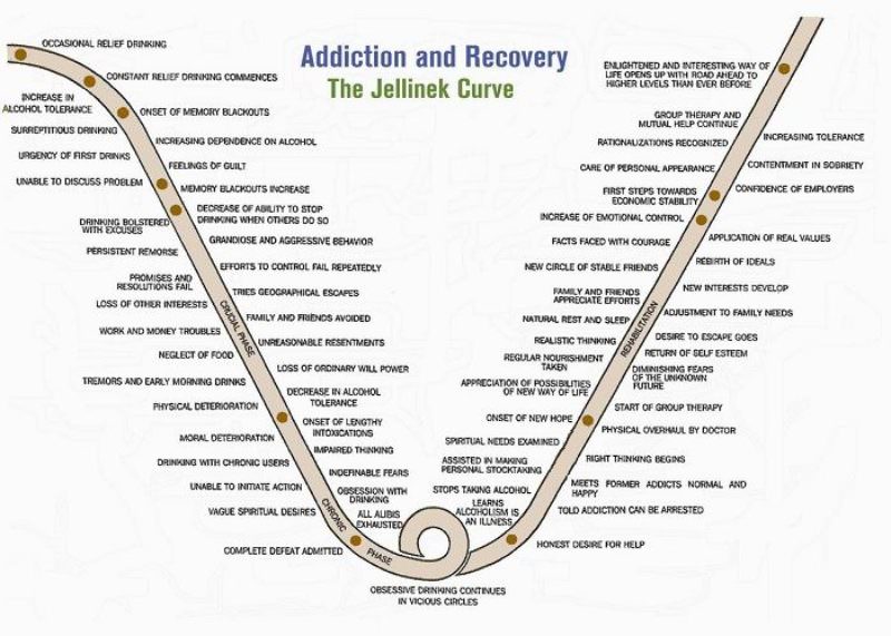 Jellinek Chart Explained