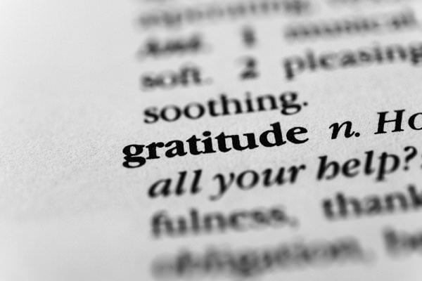 We must first understand the true definition of gratitude if any real progress is to be made. (Erce/Shutterstock)