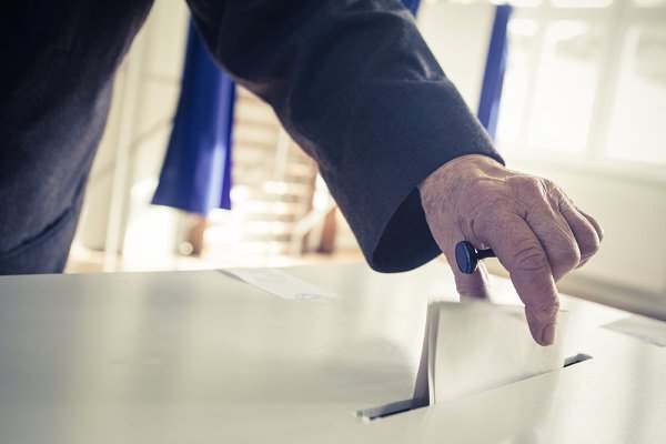 Concept II is all about delegation, although for these purposes it works a bit differently than the democratic system to which we are accustomed. (Alexandru Nika/Shutterstock)