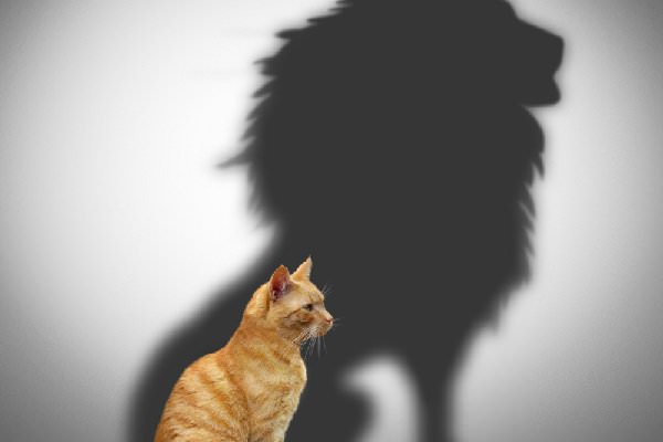 Courage requires us to dig deep down past our fears and discover the lion within. (Cranach/Shutterstock)
