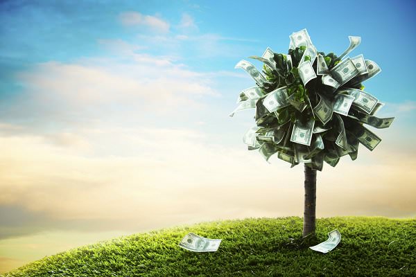 Money doesn’t grow on trees. Let’s stop spending as if it does. (Fer Gregory/Shutterstock)