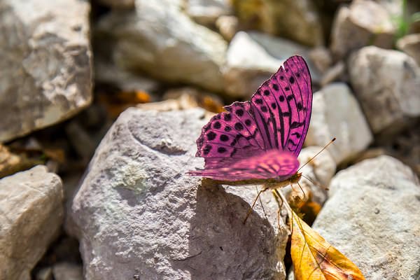 Once the transformation is complete, our patients should feel quite different on a spiritual level. (Evoks24/Shutterstock)