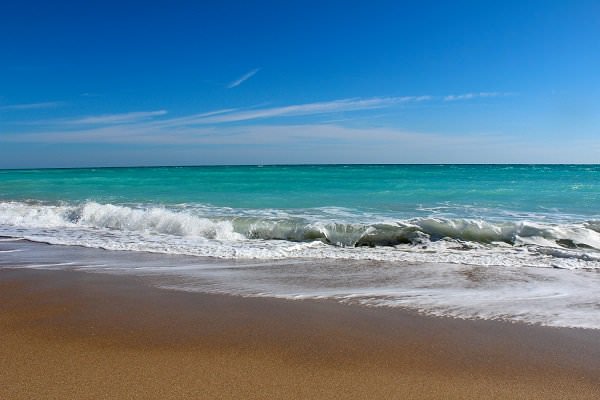 Many gorgeous aquatic features adorn the Treasure Coast. (Amethyst Recovery)