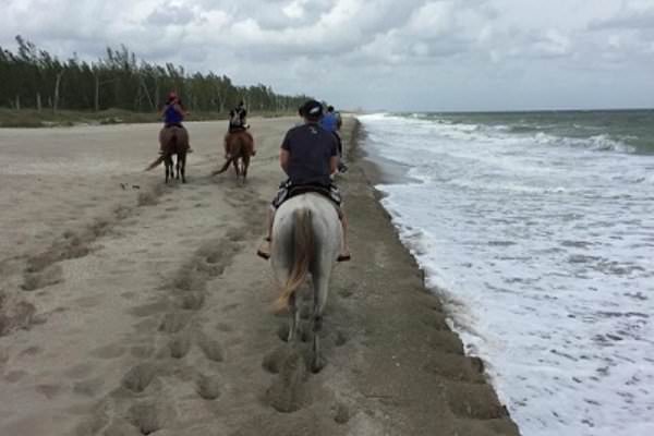 Our warm yet mild climate is excellent for outside adventures such as equine therapy. (Amethyst Recovery)