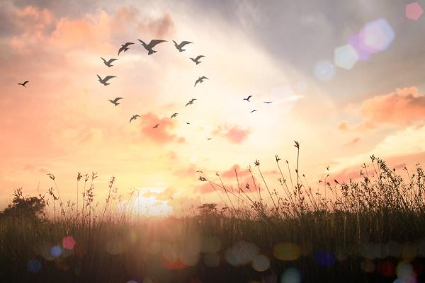 We can see the spiritual in just about anything if we are open to it. (CHOATphotographer/Shutterstock)