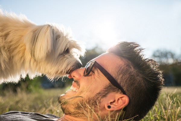 Sometimes we just need something soft and cuddly to remind us what true happiness feels like. (oneinchpunch/Shutterstock)