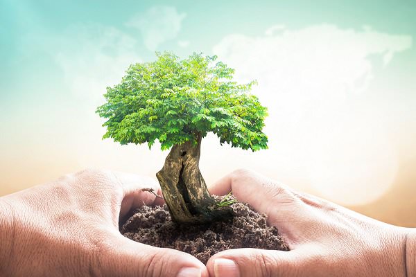 We can’t solve a person’s problems for them, but we can help them put down roots that may grow into something incredible. (CHOATphotographer/Shutterstock)