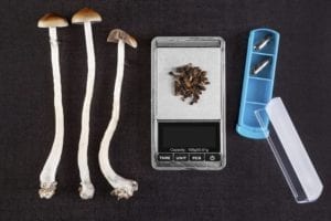 hallucinogenic drugs such as mushrooms and LSD\